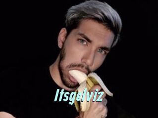 Itsgelviz