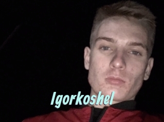 Igorkoshel