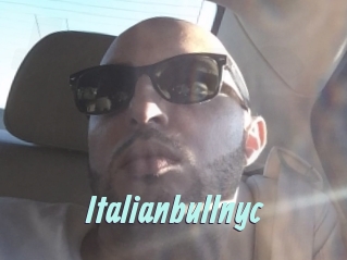 Italianbullnyc