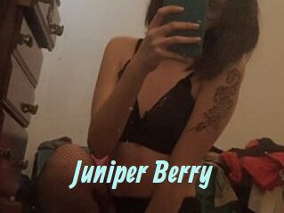 Juniper_Berry
