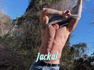 Jackal