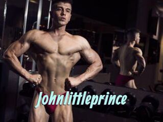 Johnlittleprince