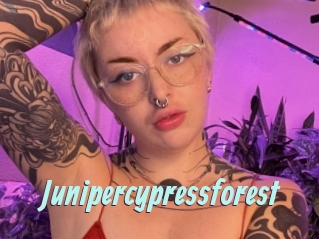 Junipercypressforest