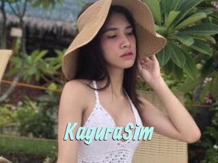 KaguraSim