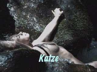 Katze