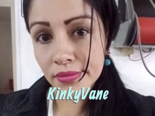 KinkyVane