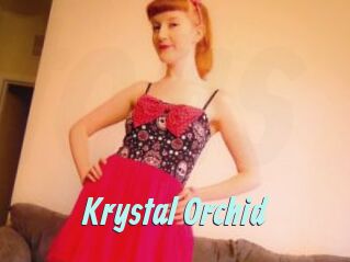 Krystal_Orchid