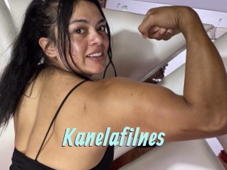Kanelafilnes