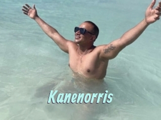 kanenorris Ton Show