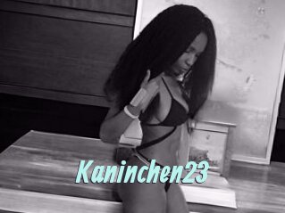 Kaninchen23