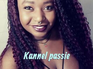 Kannel_passie