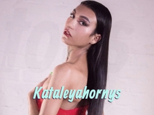 Kataleyahornys