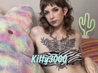 Kitty3000