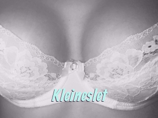 Kleineslet
