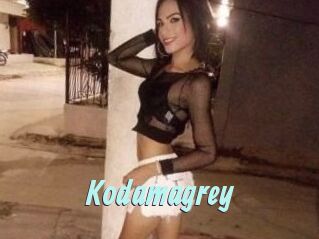 Kodamagrey