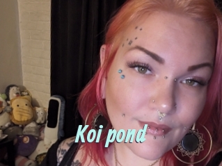 Koi_pond