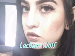 Lachlan_Wolf