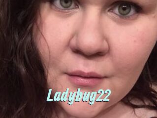 Ladybug22