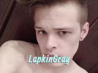LapkinGray