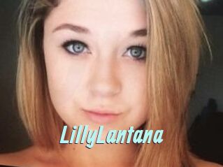 LillyLantana