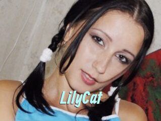 Lily_Cat_