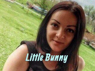 Little_Bunny_