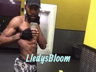 Lledys_Bloom