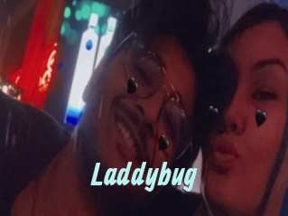 Laddybug