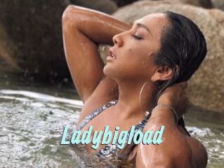 Ladybigload
