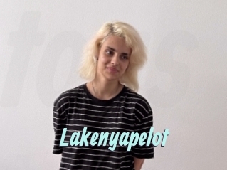 Lakenyapelot