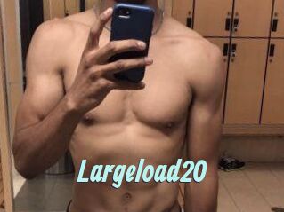 Largeload20