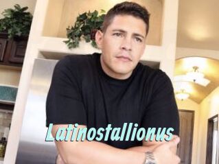 Latinostallionus