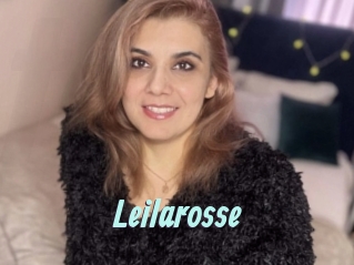 Leilarosse