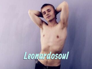 Leonardosoul