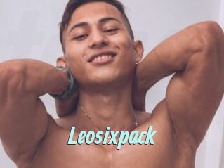 Leosixpack