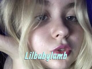 Lilbabylamb