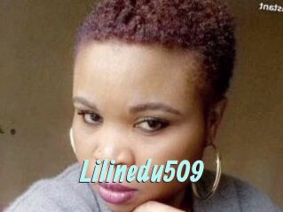Lilinedu509