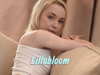 Lillabloom