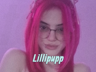 Lillipupp