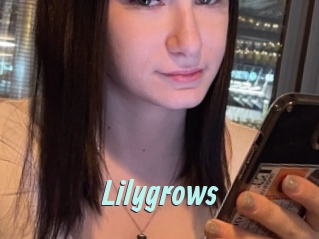 Lilygrows