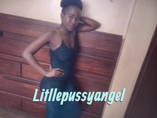 Litllepussyangel