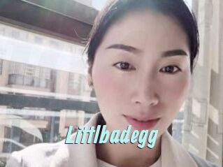 Littlbadegg