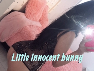 Little_innocent_bunny