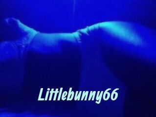 Littlebunny66