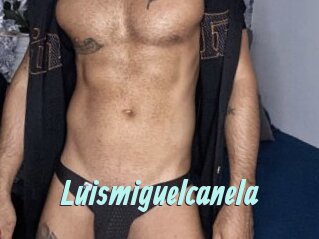 Luismiguelcanela