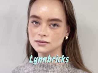 Lynnbricks