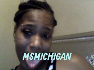 MSMICHIGAN