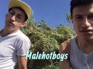 Malehotboys