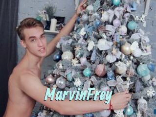 MarvinFrey