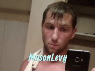 Mason_Levy